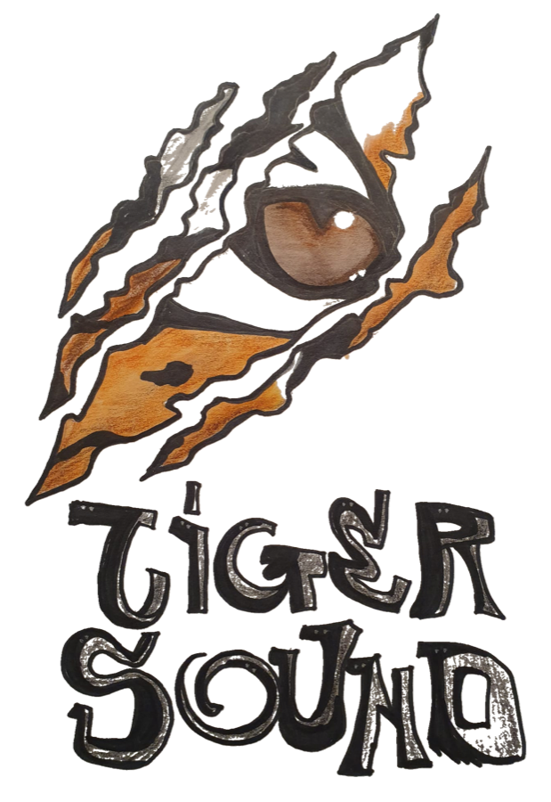 Logo Tiger Sound